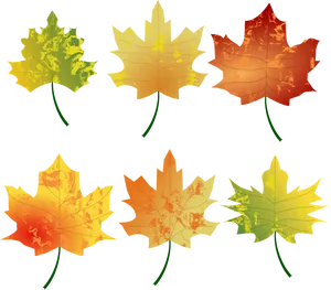 Autumn Leaves Color Gradient.png PNG Image