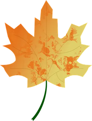Autumn Maple Leaf Illustration PNG
