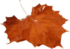 Autumn Maple Leaf Texture PNG Image