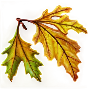 Autumn Oak Leaves Png Vcw PNG Image