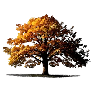 Autumn Oak Tree Png Hoq77 PNG Image