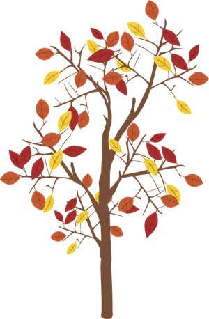 Autumn Tree Illustration PNG Image