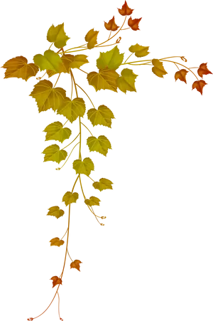 Autumn Vine Leaves Frame PNG Image