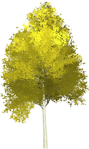 Autumn Yellow Tree Isolated PNG Image