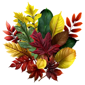 Autumnal Foliage Descent Png Wnm23 PNG Image