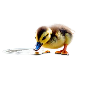 Baby Duckling Walking Png 55 PNG Image