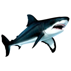 Baby Megalodon Png 84 PNG Image