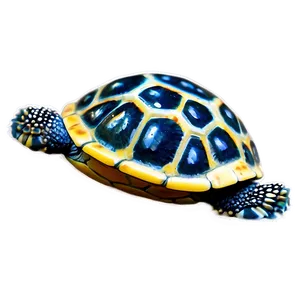 Baby Sea Turtle Hatchling Png Iqb PNG Image