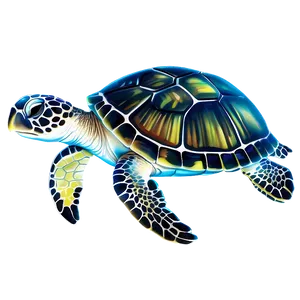 Baby Sea Turtle Png Bku PNG Image