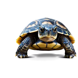 Baby Turtle Clipart Png Dpc PNG Image