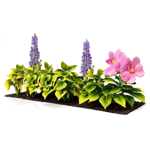 Backyard Flower Bed Png 06272024 PNG Image