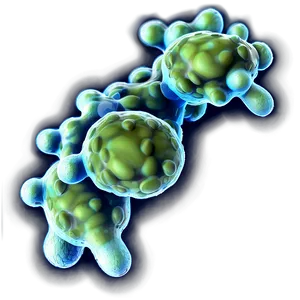 Bacterial Cells Graphic Png 63 PNG Image