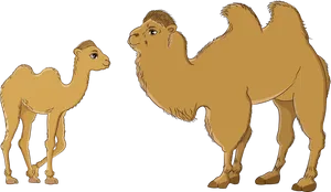 Bactrianand Dromedary Camels Illustration PNG Image