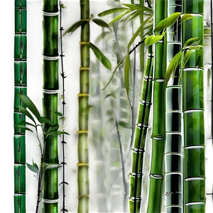 Bamboo Forest Background Png Bsl20 PNG Image