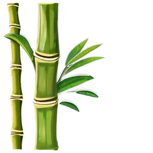 Bamboo Plant Png Ntn75 PNG Image