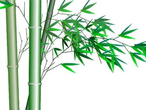 Bamboo Stalksand Leaves Graphic PNG Image