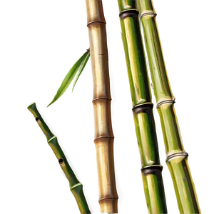 Bamboo Sticks Png 71 PNG Image