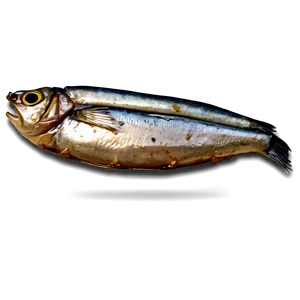 Barbecue Sardines Png Nbe5 PNG Image