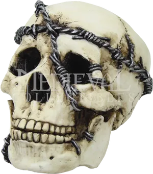 Barbed Wire Skull Decor PNG Image