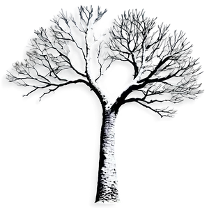 Bare Tree Branches Png Veu50 PNG Image