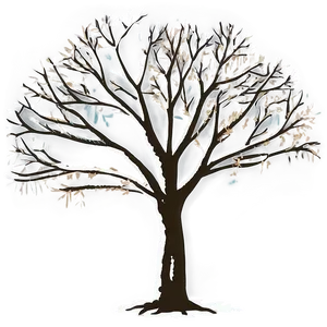 Bare Tree Drawing Png 06282024 PNG Image