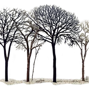 Bare Tree Landscape Png 99 PNG Image