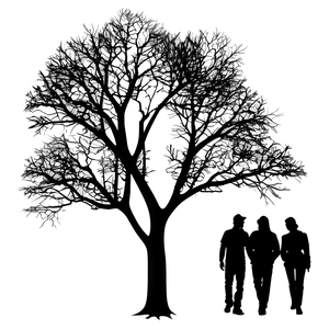 Bare Tree Silhouette Clip Art Png Kjw PNG Image