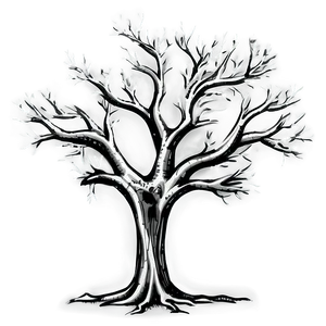 Bare Tree Sketch Png 62 PNG Image