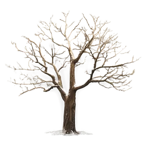 Bare Tree Without Leaves Png Ubj PNG Image