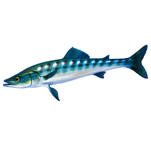 Barracuda Fish Png 3 PNG Image