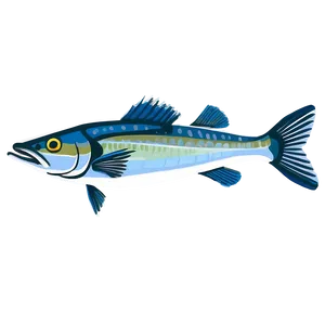 Barracuda Fish Png 39 PNG Image