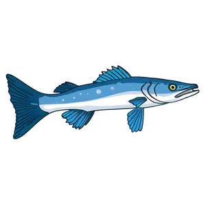 Barracuda In Coral Reef Png Hmj68 PNG Image