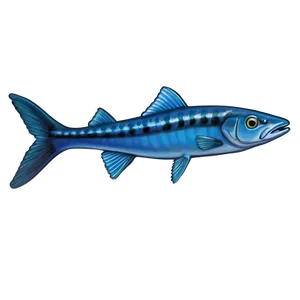 Barracuda On The Hunt Png Twc7 PNG Image