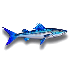 Barracuda Species Png Vhx PNG Image