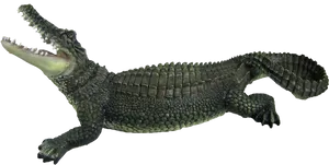 Basking Crocodile Transparent Background PNG Image