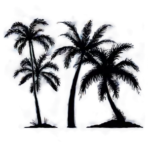 Beach Palms Silhouette Png 59 PNG Image