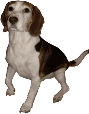 Beagle Dog Standing Illustration PNG Image