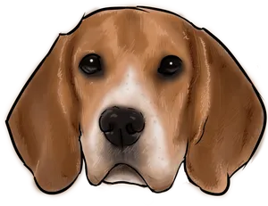 Beagle Head Illustration PNG Image