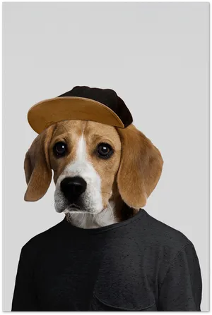 Beaglein Capand Sweater PNG Image