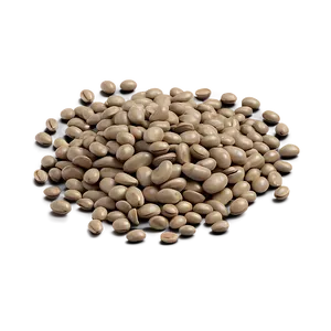 Beans Can Illustration Png 31 PNG Image