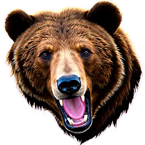 Bear Face Illustration Png Lnj72 PNG Image