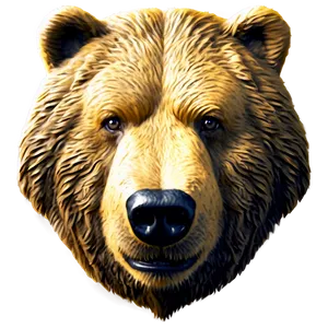 Bear Face Sketch Png Vso32 PNG Image