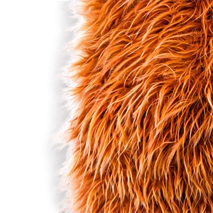 Bear Fur Texture Png 06272024 PNG Image