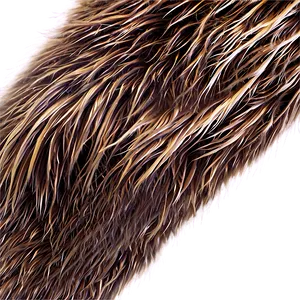 Bear Fur Texture Png Anq66 PNG Image