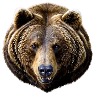 Bear Head Png Xke PNG Image