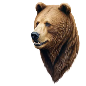 Bear Head Profile Icon Png Wwh12 PNG Image