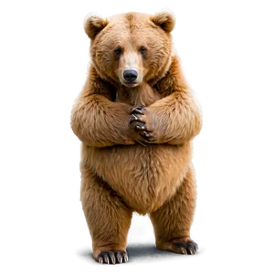 Bear Hug Png 06112024 PNG Image