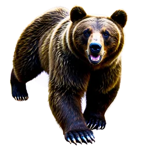 Bear Sketch Png Iox PNG Image