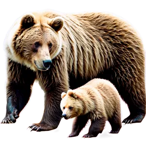 Bear With Cubs Png Mjr16 PNG Image