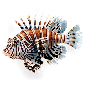 Beautiful Lionfish Png 1 PNG Image